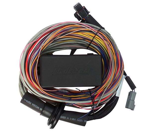 Haltech Elite 750 8ft Premium Universal Wire-In Harness