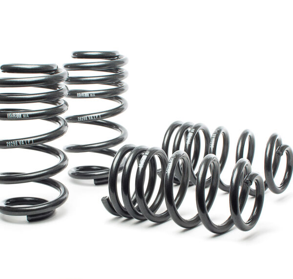 H&R 03-04 Audi RS6/RS6 Avant (AWD) Sport Spring