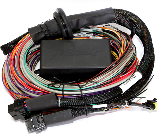 Haltech Elite 2500 & 2500 T 8ft Premium Universal Wire-In Harness