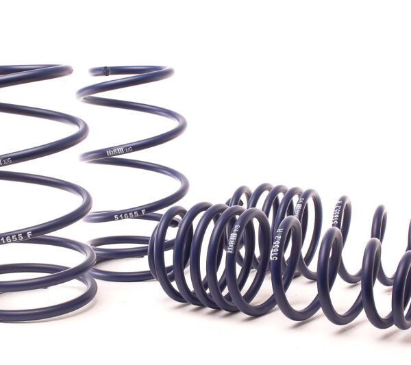 H&R 2010 Ford Mustang/Convertible/GT/Shelby GT/Shelby GT-H V6/V8 Sport Spring