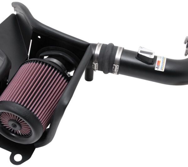 K&N 09-10 VW Passat/GLI/GTI 2.0L-L4 Typhoon Short Ram Intake
