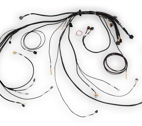 Haltech NEXUS Rebel LS Terminated Harness for ECU