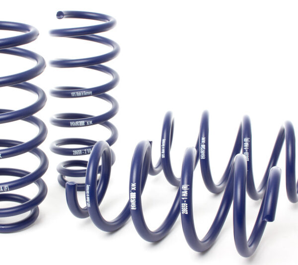 H&R 19-22 Tesla Model 3 Standard Range/Standard Range+ (RWD) Sport Spring (Non Air Susp.)