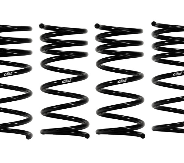 Eibach Pro-Kit 66-76 BMW 2002