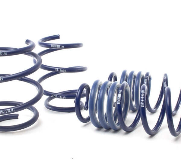 H&R 17-21 Honda Civic Type-R FK8 Sport Spring