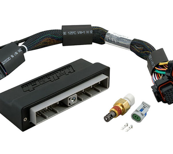 Haltech Nissan Skyline R34 GT-T/Stagea WC34 (M/T Only) Elite 2000/2500 Plug-n-Play Adaptor Harness