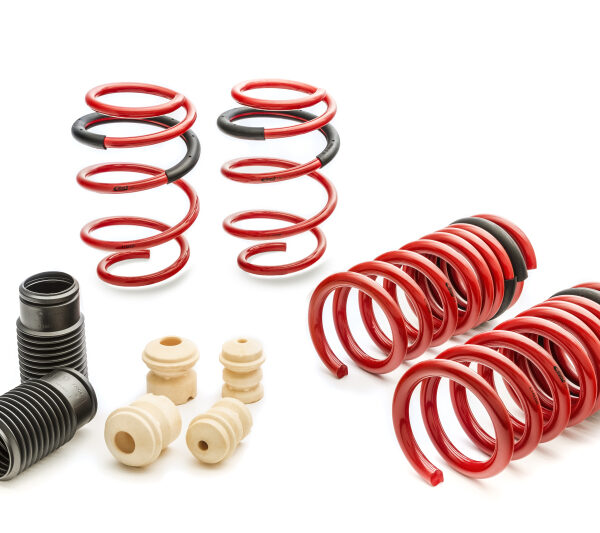 Eibach Sportline Kit for 2015 Mustang GT 5.0L V8