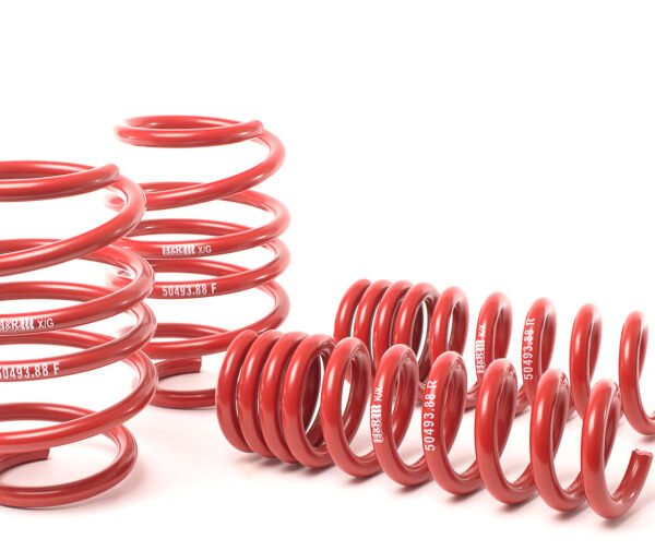 H&R 08-13 BMW M3 Coupe/M3 Sedan E92 Race Spring