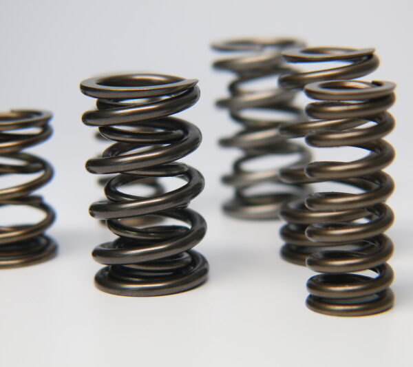 Ferrea 1.225in to 1.570in Diameter 1.025/1.57 OD 0.74/1.135 ID Dual w/Damper Valve Spring- Set of 16