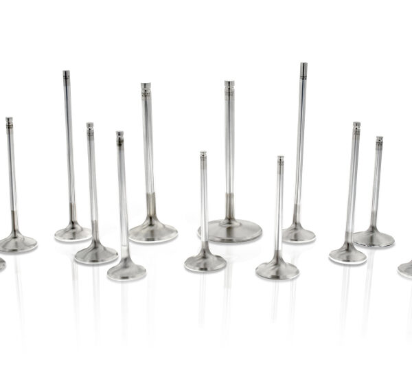 Ferrea VW 1.8T 20V Exhaust Dual Valve Spring - Set of 8