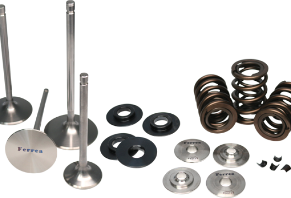 Ferrea BMW N54 Single Spring Kit