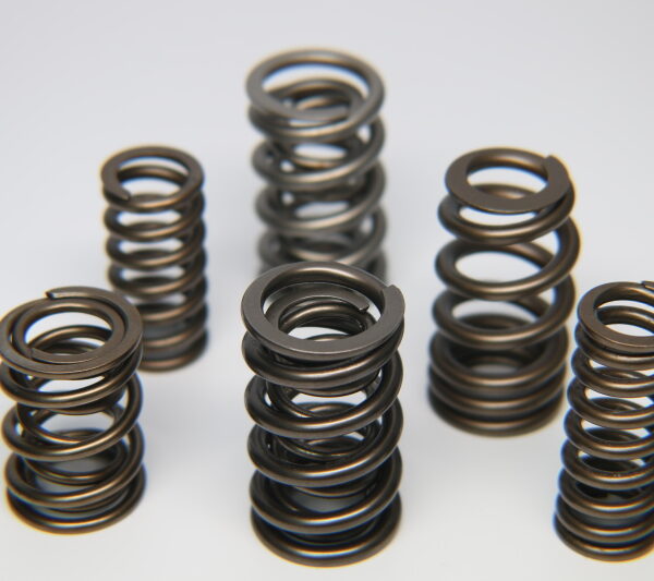 Ferrea 1.600in to 1.650in Dia 1.065/1.625 OD 0.77/1.175 ID Dual w/Damper Valve Spring - Set of 16
