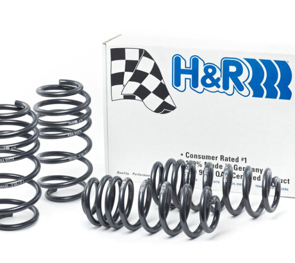 H&R 12-15 Volkswagen Passat Sedan 2.5L/1.8T/TDI Sport Spring