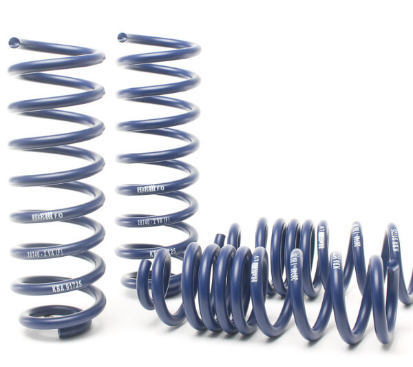 H&R 17-18 Mercedes-Benz E400 4MATIC Coupe/E400 Coupe C238 Sport Spring (Incl Agility Control) RW