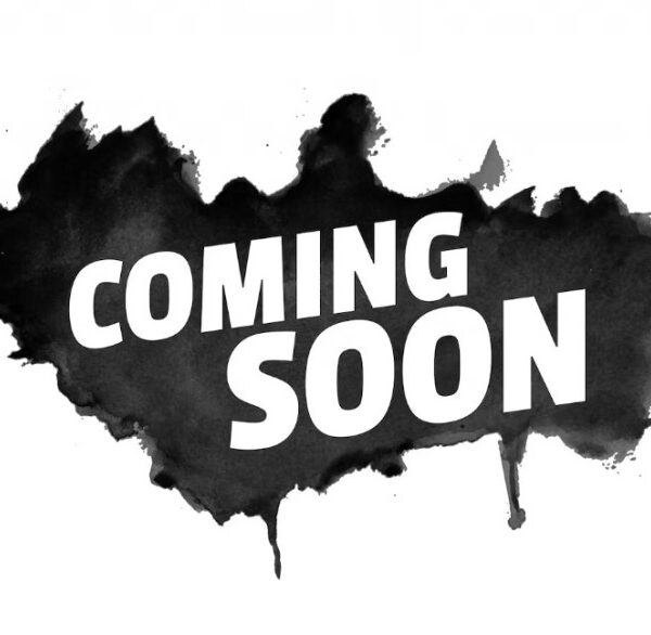 Aeromotive Universal Diesel In-Tank Fuel Pump