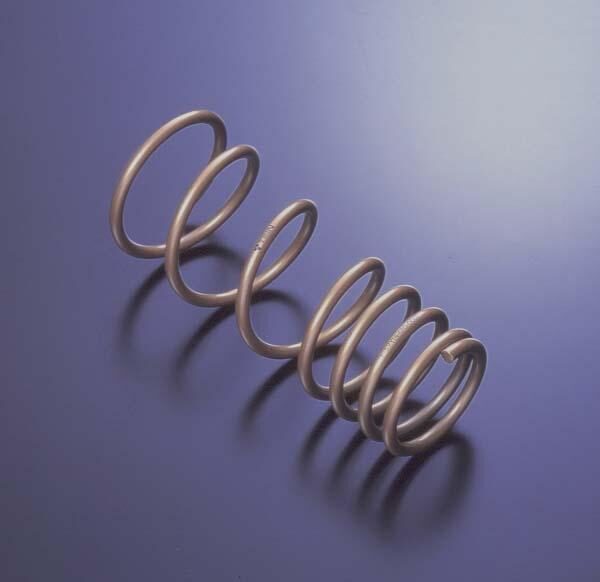Tein 98-02 Audi S4 Sedan 4wd 6cyl. (Incl A4 2.8L) H Tech Springs