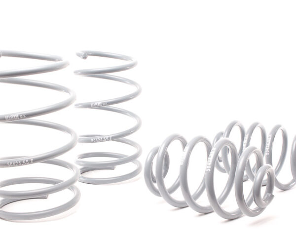 H&R 92-98 BMW 325i/325is/328i/328is E36 OE Sport Spring (After 6/22/92 & Non Cabrio)