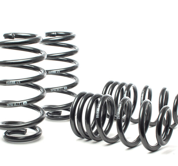 H&R 02-03 Audi S6 Avant (AWD) Sport Spring